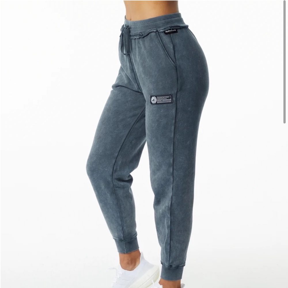 Alphalete Blue Topaz Very Terry Oversized Jogger